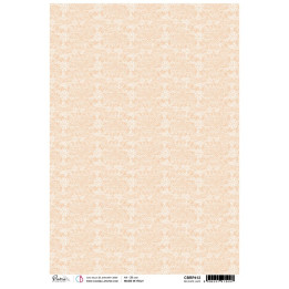 copy of 